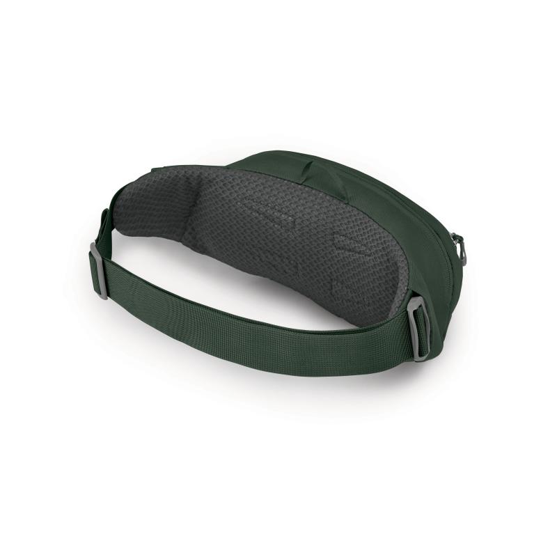 Osprey Daylite Waist Green Belt/Green Canopy O/S